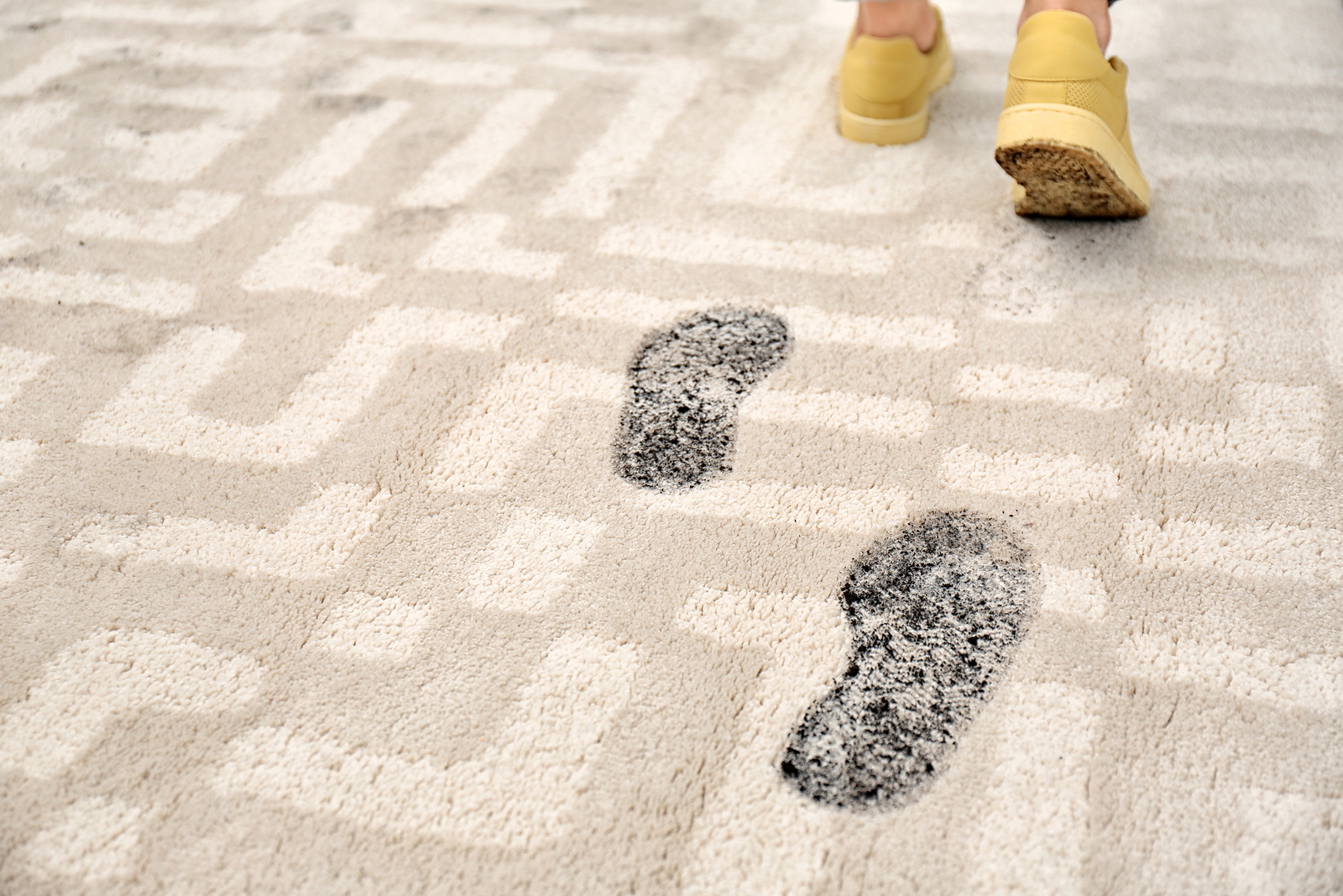 damp carpet